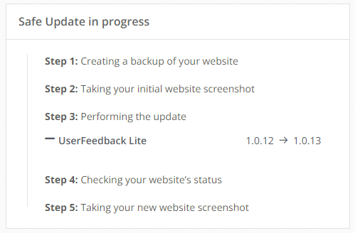 A screenshot showing the update process for a WordPress website. A 5 steps process to backup, take a screenshot, perform the update then test is shown